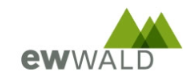 EW Wald AG