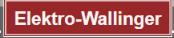 Elektro-Wallinger