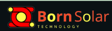 De Qi Group Holding Co.,Ltd (BornSolar)