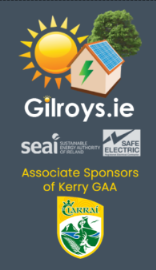 Gilroy's Green Energy Ltd.