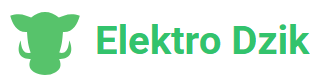 Elektro Dzik