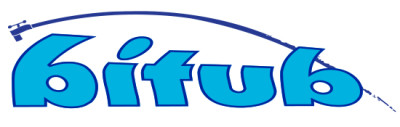 Bitub