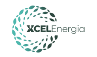 Xcel Energia