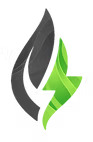 Energy Solutions Group