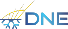 DNE SARL