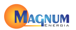 Magnum Energia