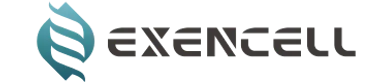Shenzhen Exencell New Energy Technology Co., Ltd.
