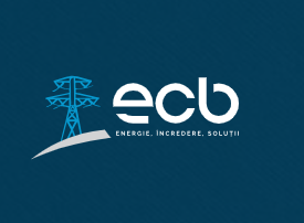 Electro Calin Branesti SRL