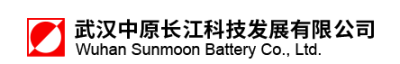 武汉中原长江科技发展有限公司