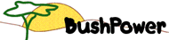 BushPower