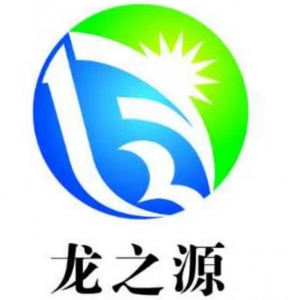 He'nan Longzhiyuan New Energy Co., Ltd.