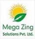 Mega Zing Solutions Private Limited