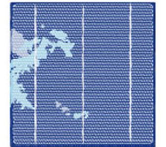 Bolisheng Technology | Z(Z156)Z6PS01 | Solar Cell Datasheet | ENF Solar ...