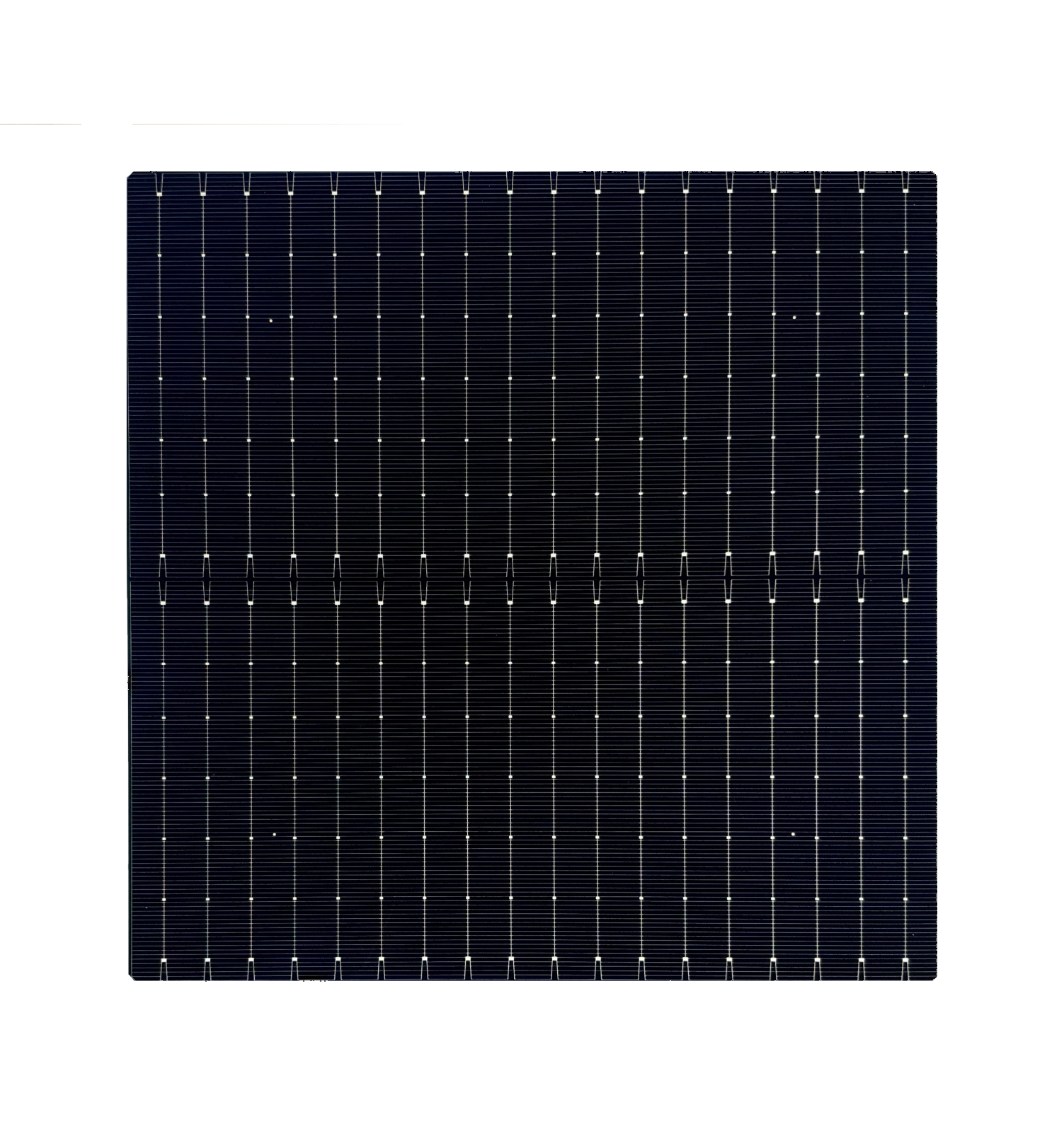 N-Type TOPCon Bifacial Solar Cell（G12）210x210-18BB