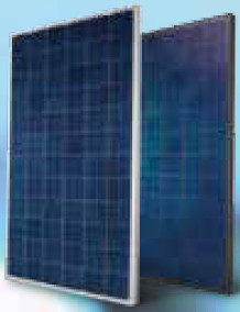 Phono Solar | Smart Module P250-270 | Solar Panel Datasheet | ENF Panel ...