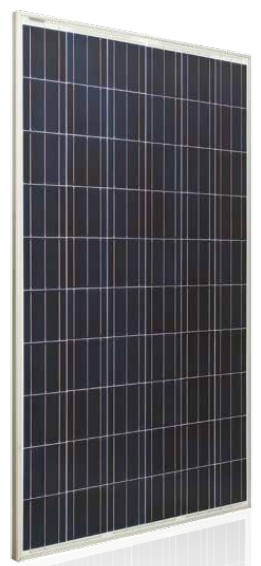 Trienergia | Trienergia TRI-300-320BC-WA | Solar Panel Datasheet | ENF ...