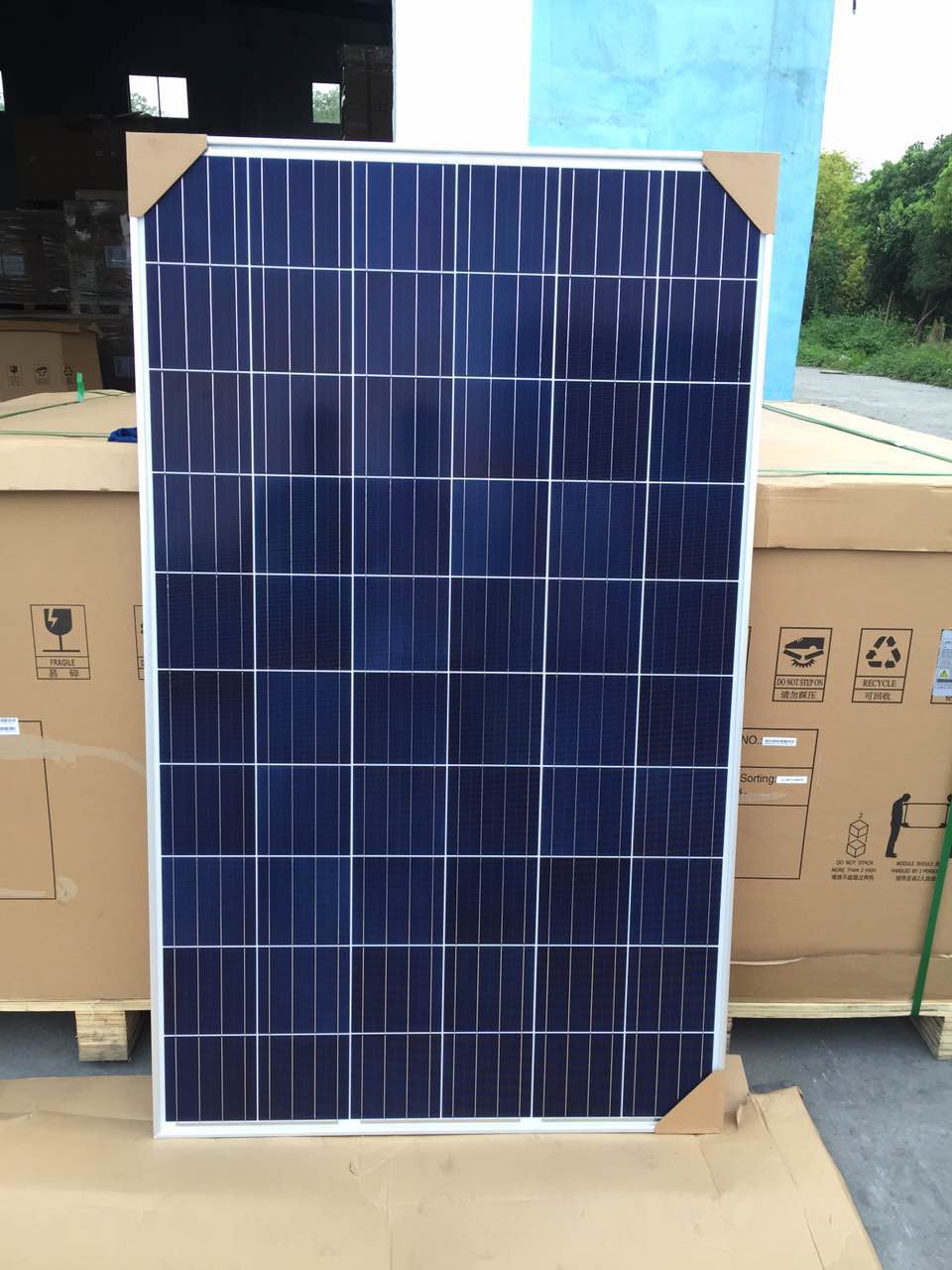 Topsky Energy | TNP-260-270W | Solar Panel Datasheet | ENF Panel Directory