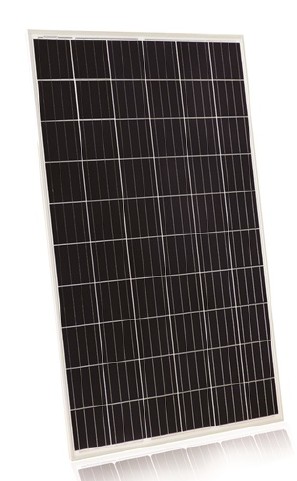 Changzhou Tianma Photovoltaic Electronic | TM-P6 60Cells (265-275W