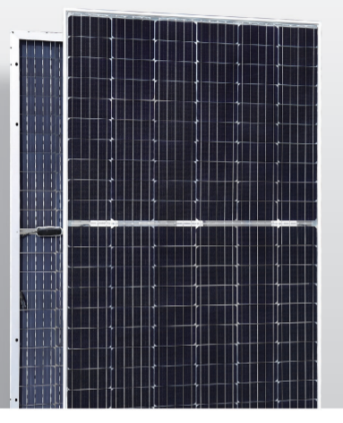 bifacial