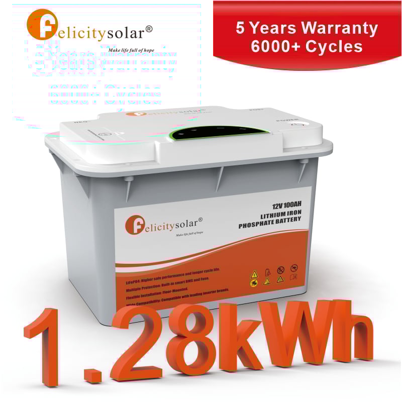 LiFePo4 Battery Pack Low Voltage FLA Series 12V