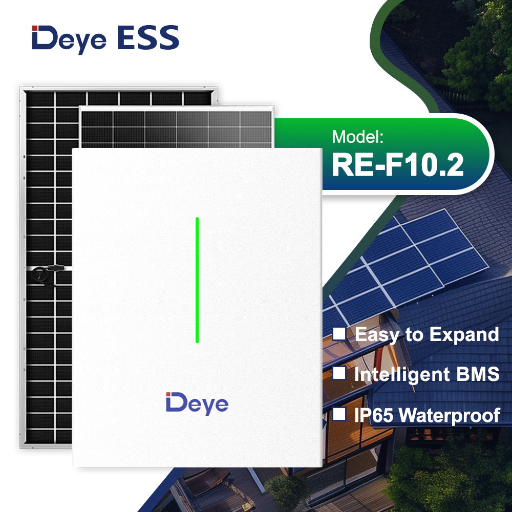 Deye ESS RW-F10.2 & RW-F10.2-B Low Voltage Storage Battery