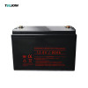 12V 100AH Lifepo4 Battery