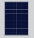 UTL 100 Watt 12 Volt Polycrystalline