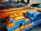 AGM Solar Battery