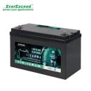 LDP12-100 (12.8V 100Ah)