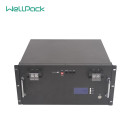 Case type LifePO4 Battery