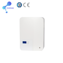 Wall Mounted Liithium Battery