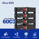 Deye ESS SE-G5.1 Low Voltage Storage Battery