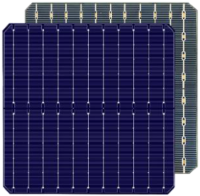 11BB 182 Mono  Bifacial Solar Cell