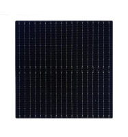 N-Type TOPCon Bifacial Solar Cell（G12）210x210-18BB