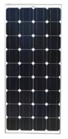 SolarKing 100W