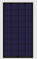 RS36P Series 155-175W
