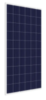 165 Watt - 12 Volt Polycrystalline