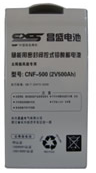 CNF500