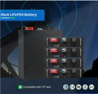 Rack LFP Battery