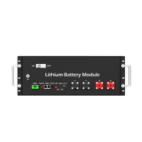 100/200Ah Lithium LiFePO4 Rack Mount Battery Module