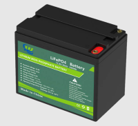 Deep Cycle 12V 50Ah Lithium ion Lifepo4 Battery