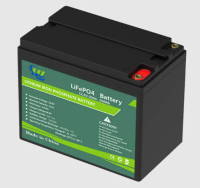 Deep Cycle China 12V 20Ah Lithium ion Lifepo4 Battery