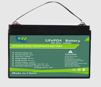 48V 50Ah Lithium ion Lifepo4 Battery