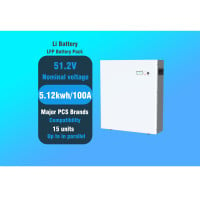 BPL Series 51.2V LiFePo4 Energy Storage Battery Pack