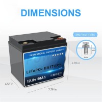 12.8V 50Ah LiFePO4 Battery