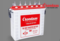 Inverter Battery