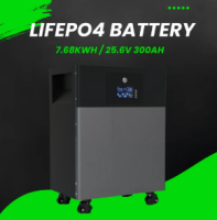 25.6V / 300Ah LiFePo4 Battery