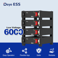 Deye ESS SE-G5.1 Low Voltage Storage Battery