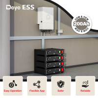 Deye ESS SE-G10.2 Low Voltage Storage Battery