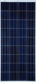Bluebird Solar Polycrystalline 260W - 285W